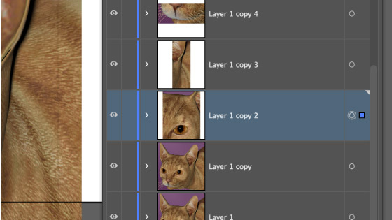 ccat active layer in layers panel